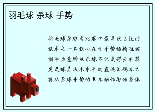 羽毛球 杀球 手势